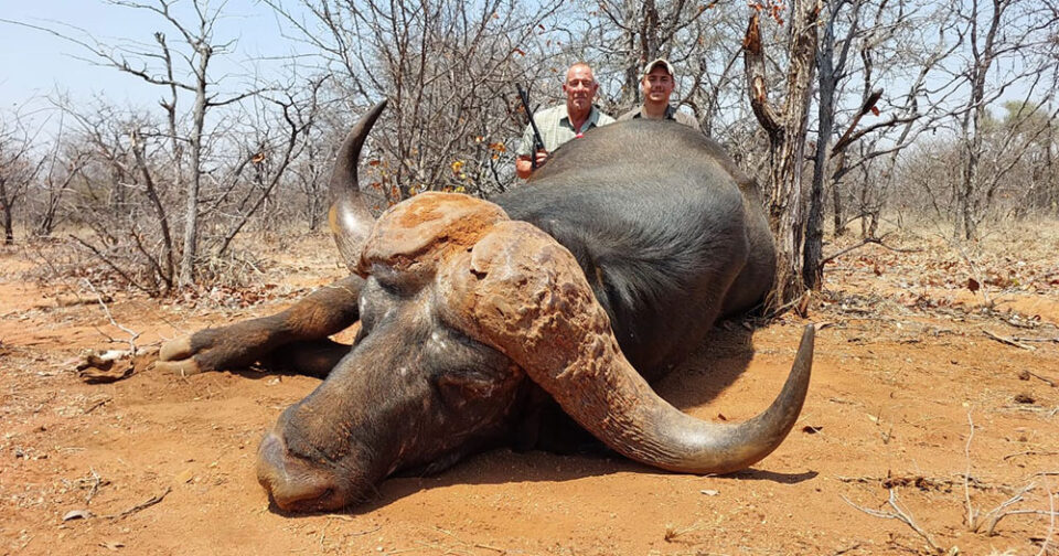 RR weltweites jagen | Südafrika | Limpopo