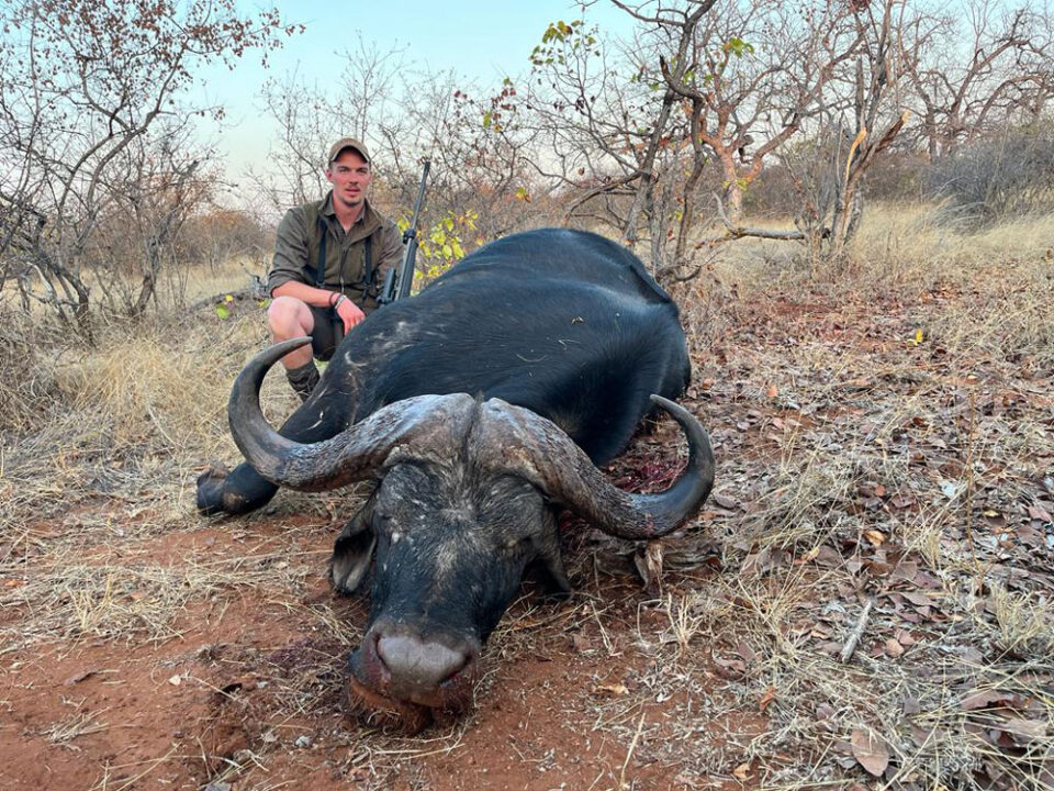 RR weltweites jagen | Südafrika | Limpopo