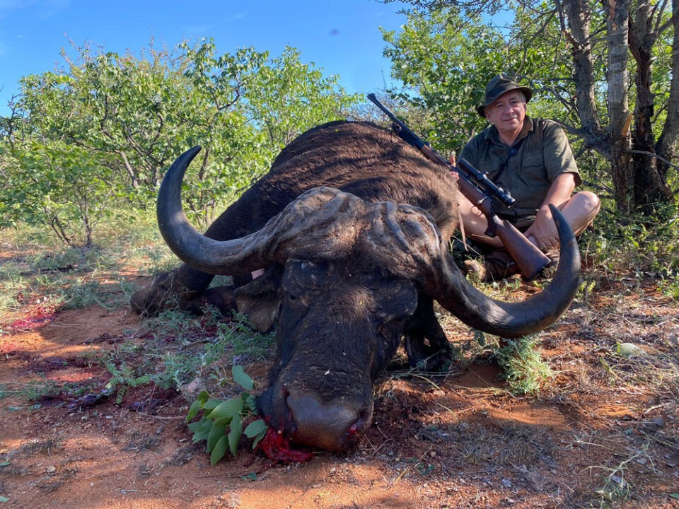 RR weltweites jagen | Südafrika | Limpopo