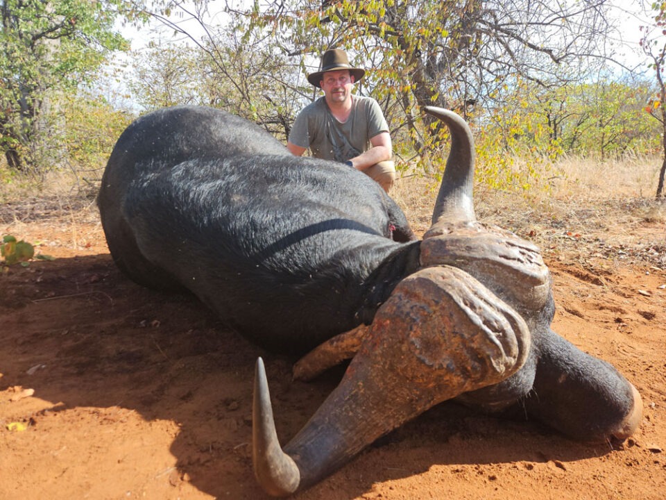 RR weltweites jagen | Südafrika | Limpopo