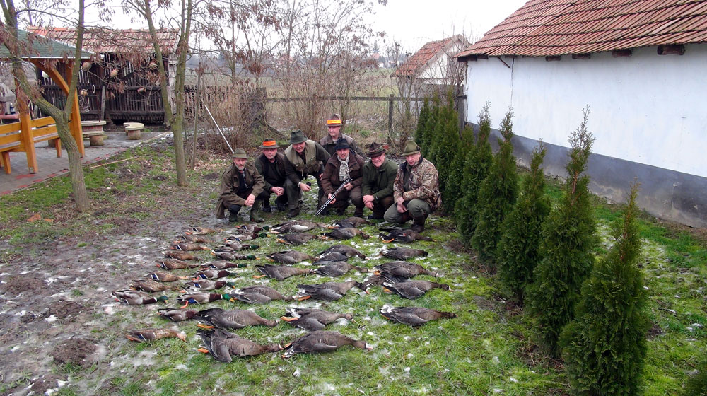 RR Weltweites Jagen | Gänsejagd Ungarn