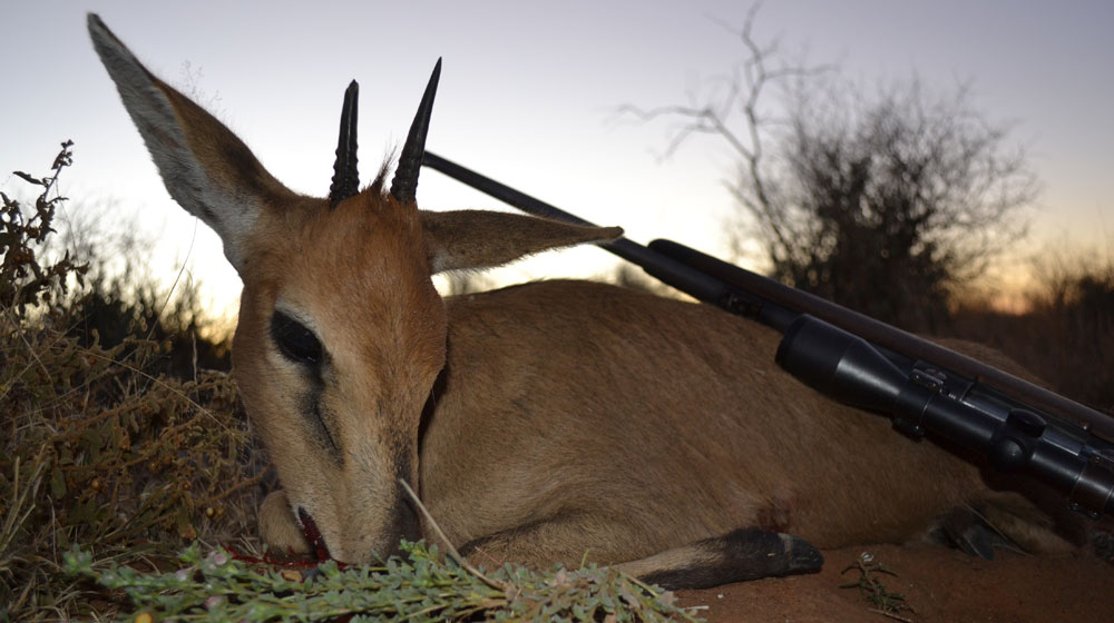 RR Weltweites Jagen | Jagen in Namibia