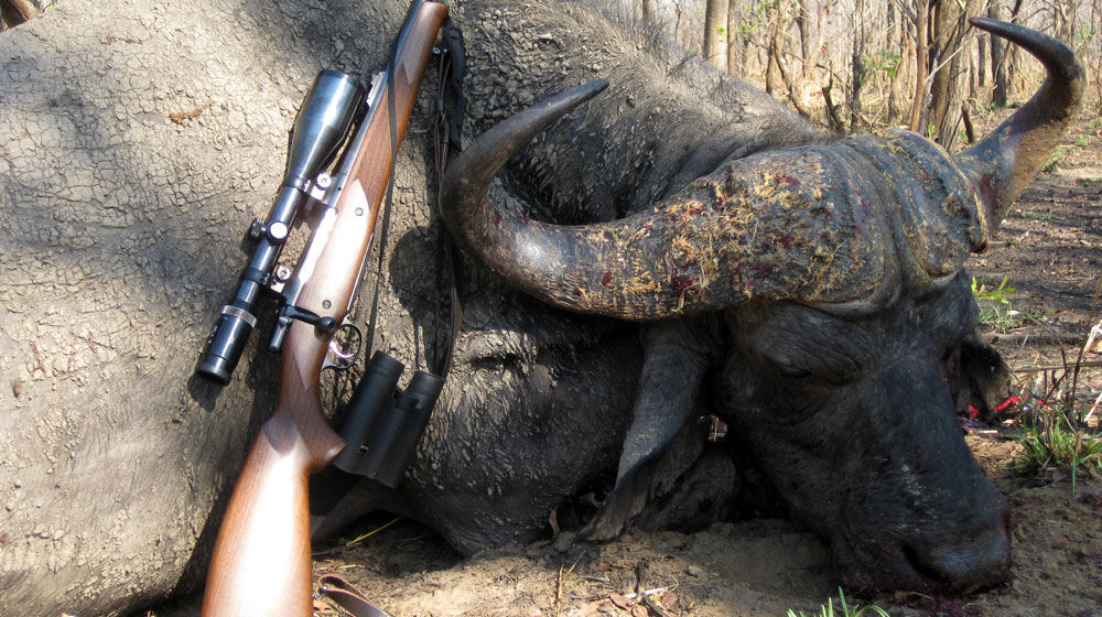RR Weltweites Jagen | Jagen in Sambia