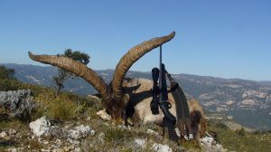 RR Weltweites Jagen | Spanien