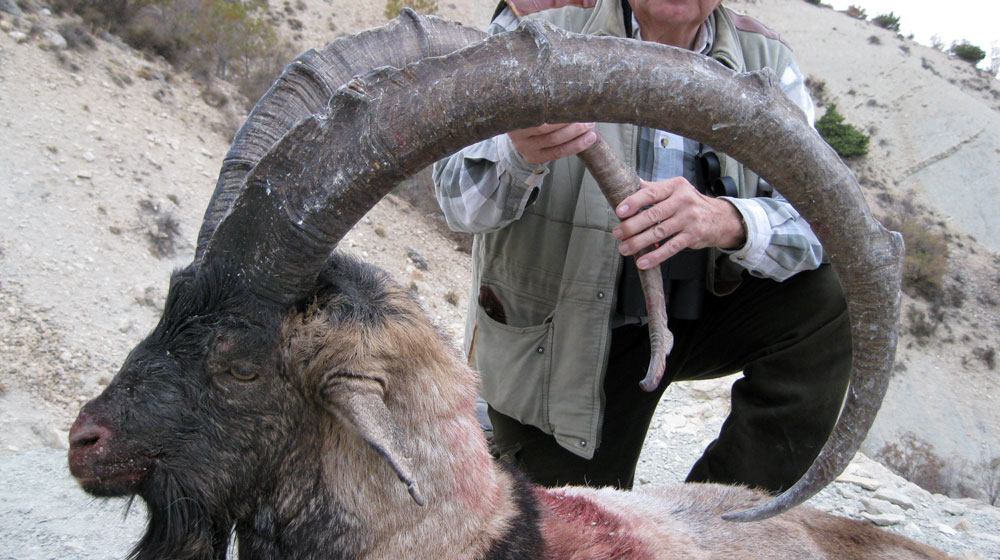 RR Weltweites Jagen | Jagen in der Türkei