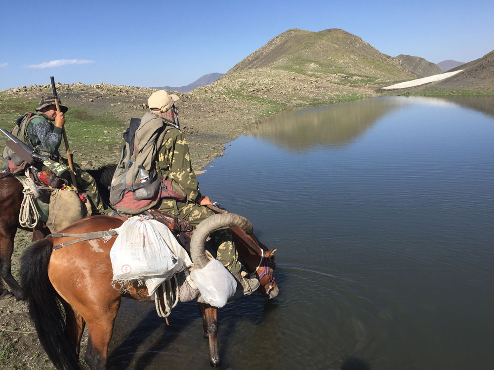RR Weltweites Jagen | Aserbaidschan