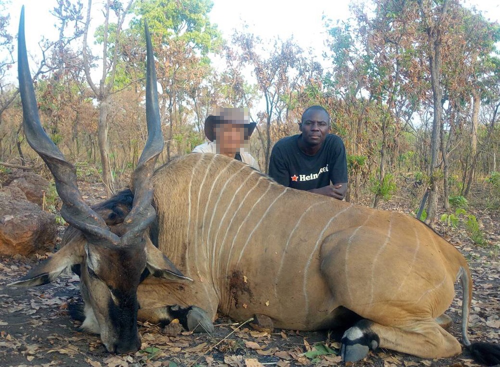 RR Weltweites Jagen | Jagen in Kamerun