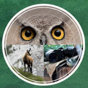 RR weltweites jagen - Hohe Jagd