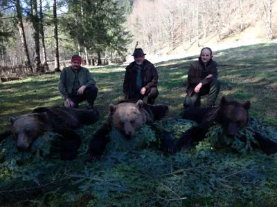 RR weltweites Jagen | Braunbär in Rumänien