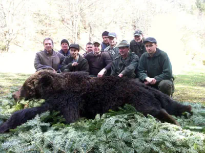 RR weltweites Jagen | Braunbär in Rumänien