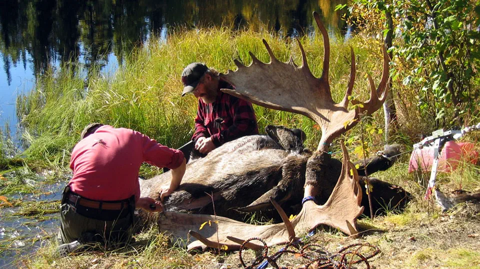 RR weltweites jagen | Alaska