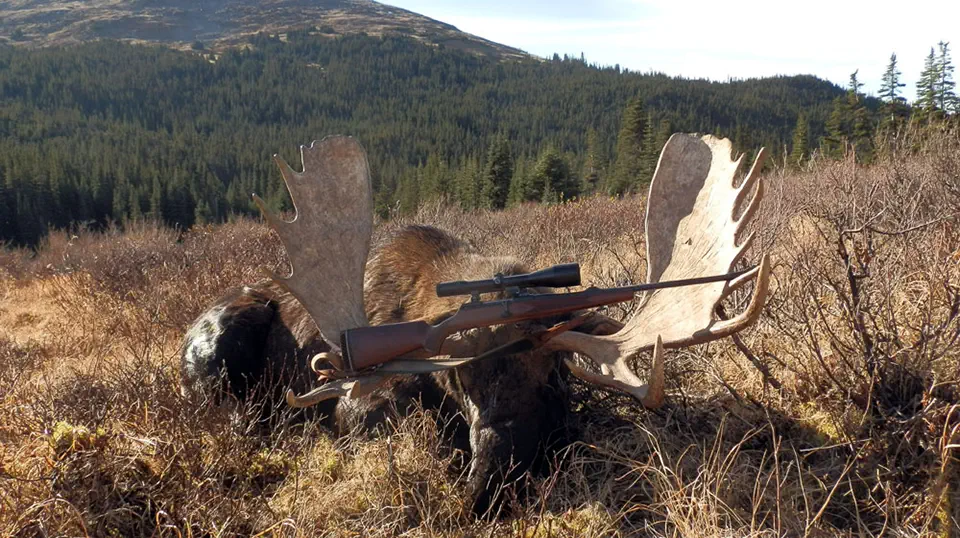 RR weltweites jagen | Alaska