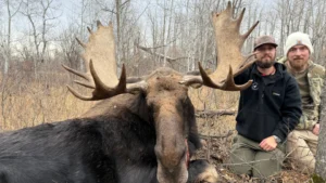 RR weltweites jagen | Alberta