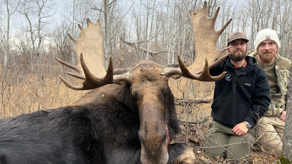 RR weltweites jagen | Alberta