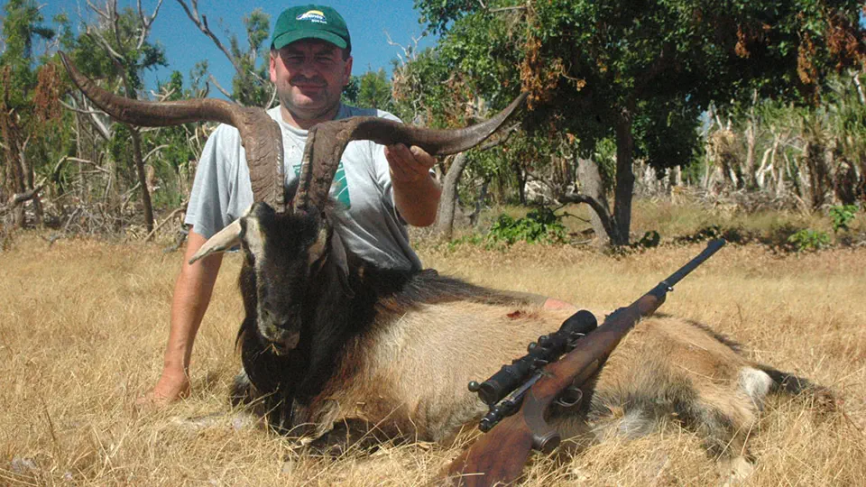 RR weltweites jagen | Australien
