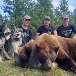 RR weltweites Jagen | British Columbia Süd