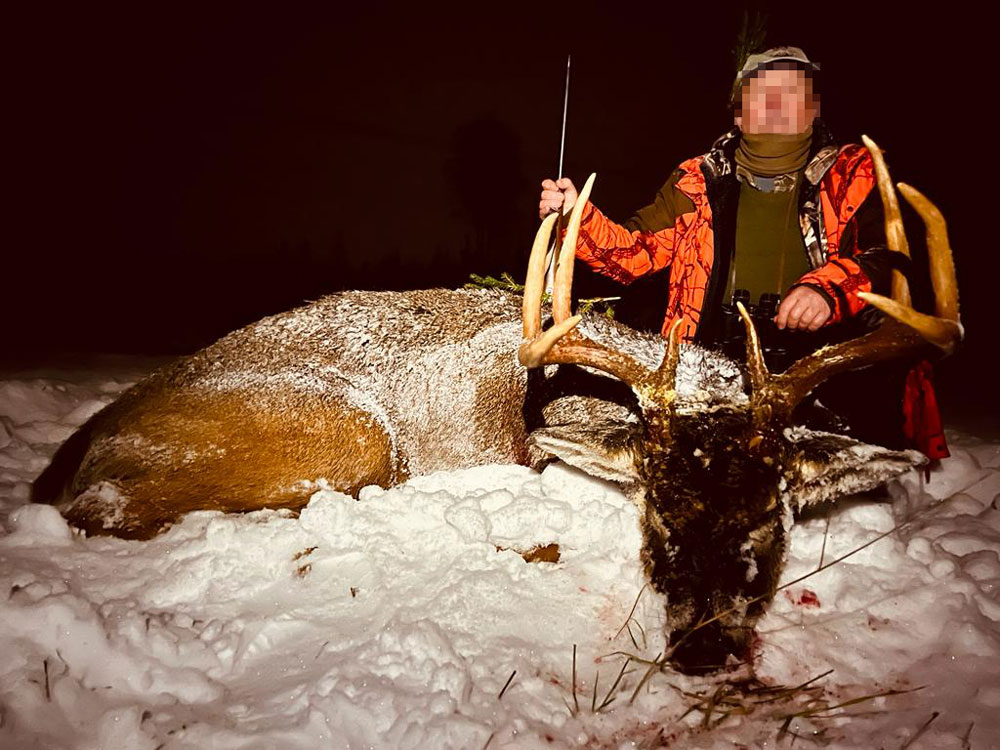 RR Weltweites Jagen | Jagen in Finnland
