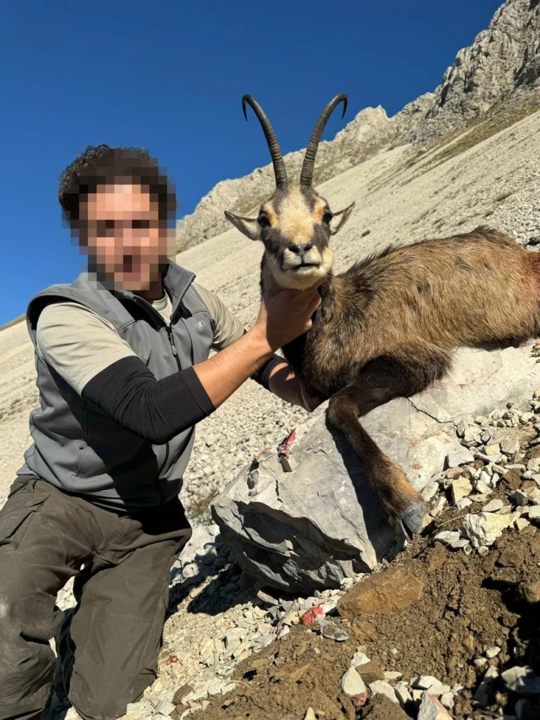 RR weltweites jagen | Frankreich