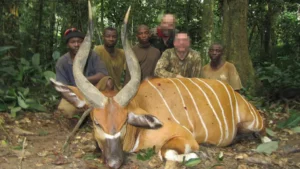 RR weltweites jagen | Jagen in Kamerun