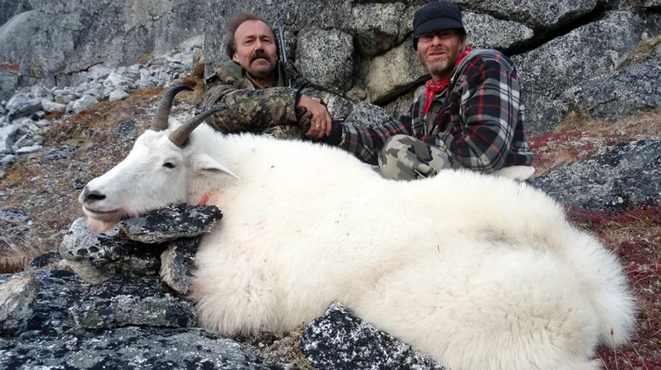 RR weltweites jagen | British Columbia-Yukon