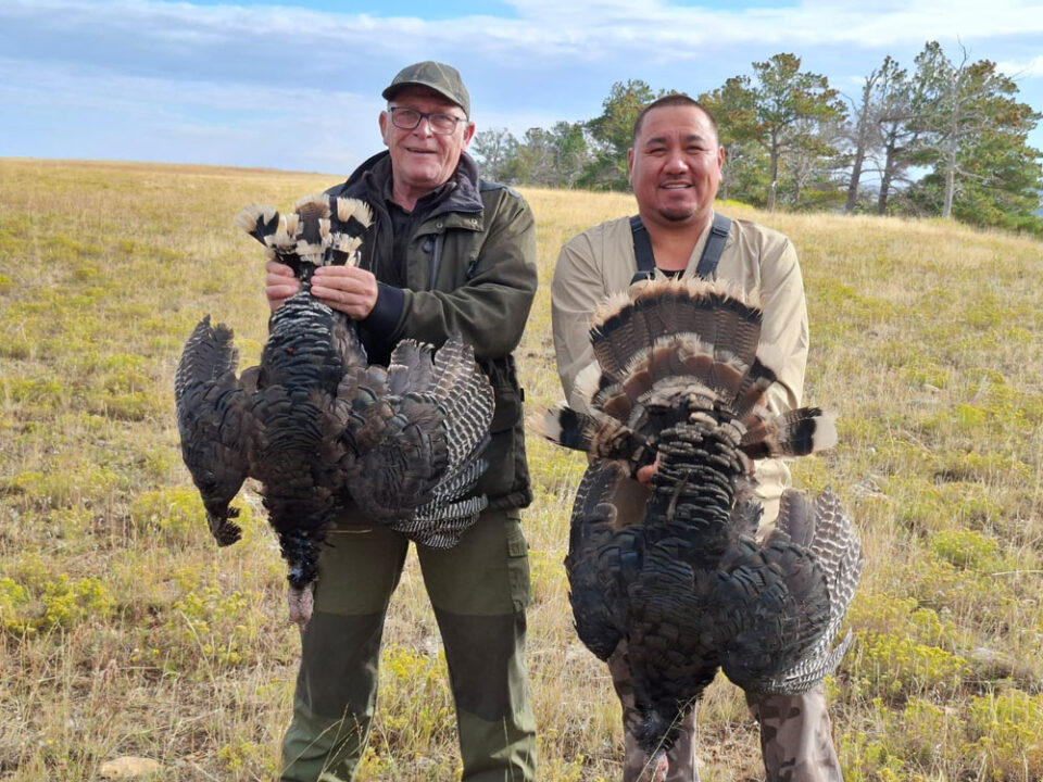 Jagen in Montana | RR weltweites jagen