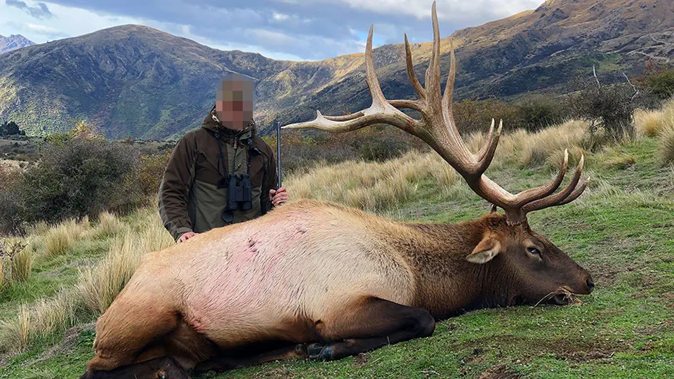 RR weltweites jagen | Neuseeland