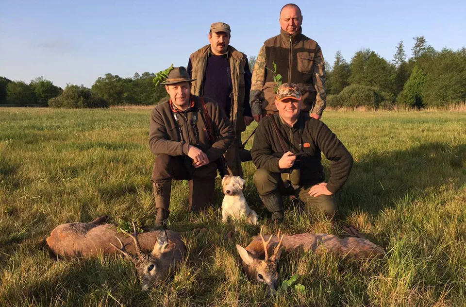 RR weltweites jagen | Die Jagd in Polen