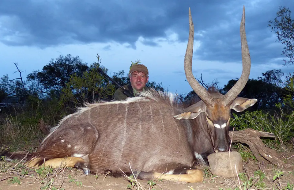 RR weltweites jagen | Jagen in Südafrika