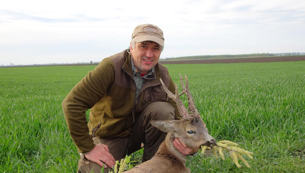RR weltweites jagen | Rehböcke in Ungarn
