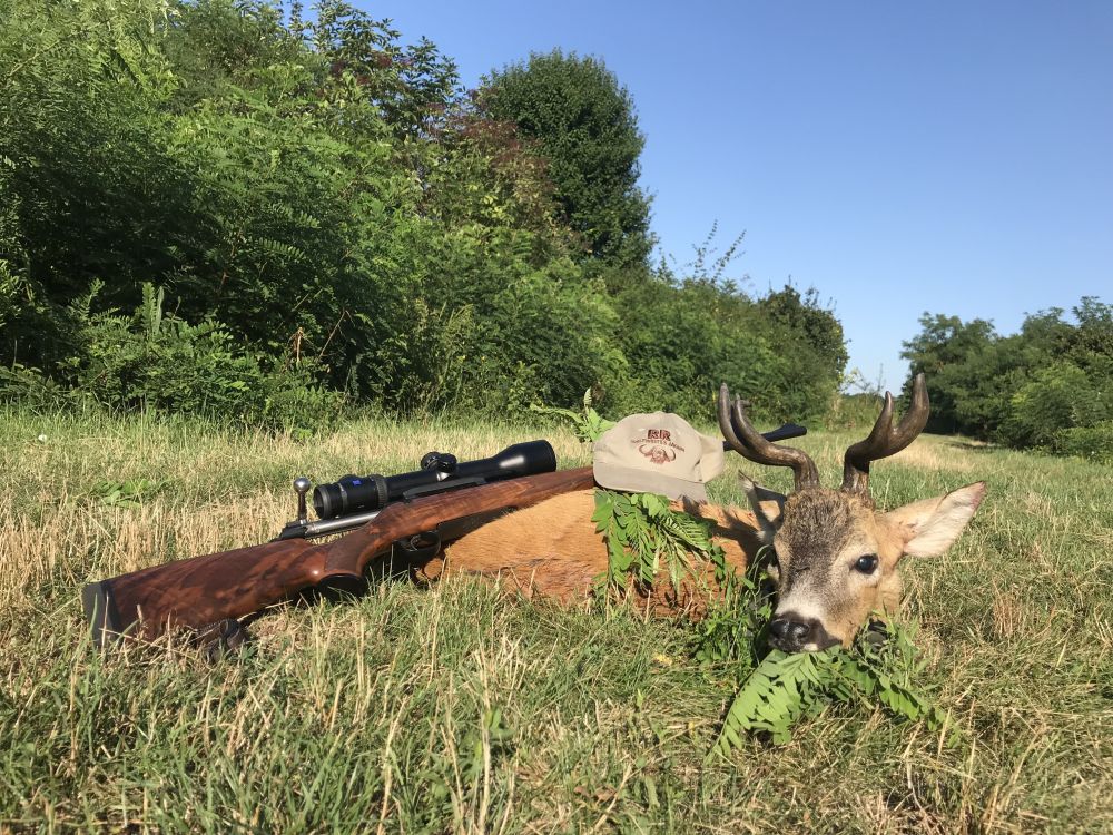 RR weltweites jagen | Rehböcke in Ungarn