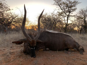 Jagdreise Südafrika