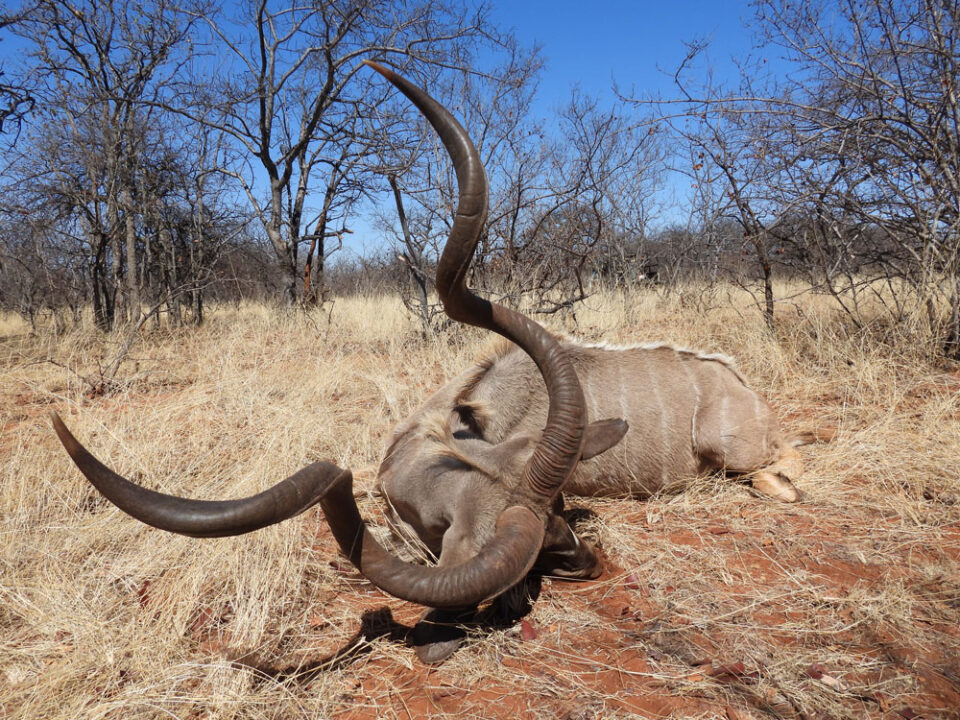 Jagdreise Südafrika